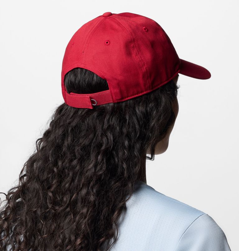 Μπάλα collegiate provisions - Αλαμπάμα
