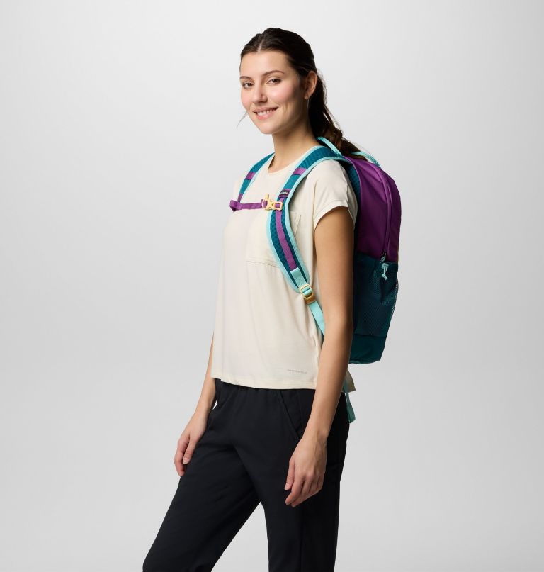 Σακίδιο πλάτης echo mountain 25l